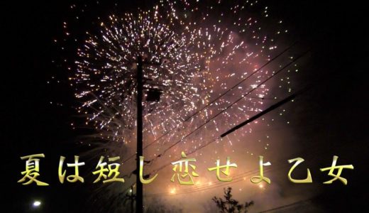 【駿府城】〜切ない気持ちをくれた花火〜