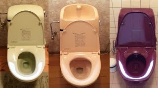 トイレ３つ流すと水が消える【父激怒】
