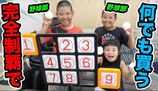 【成功で何でも買います】野球部の小学生のいとこがストラックアウト完全制覇することは可能か？