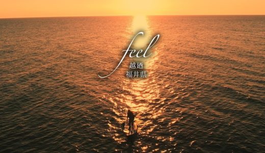 feel　越廼　福井