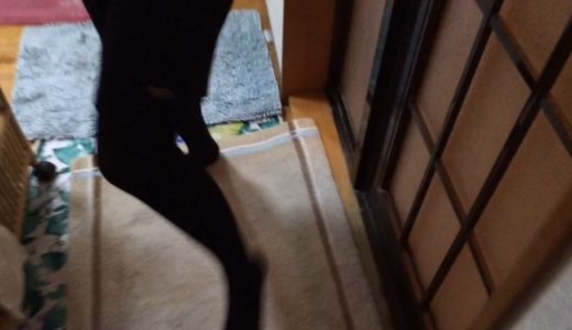 妹と風呂に入りたい兄貴