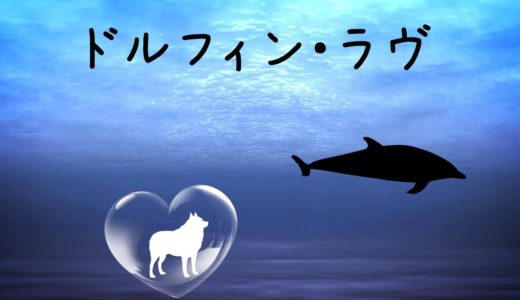 スピッツ「ドルフィン・ラヴ」ベース