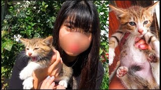 林道で子猫が捨てられてた。持って帰ります
