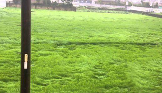 台風11号 窓を開けてみた 4K映像 4K放送 新元号 令和になっても頑張ります