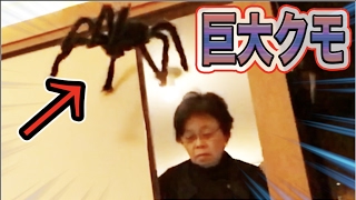 巨大クモが襲い掛かるドッキリ仕掛けてみた