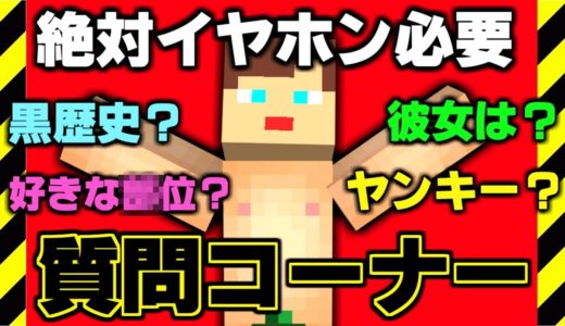 イヤホン無いと見れない質問コーナーｗｗｗ【登録者20万人記念後編】