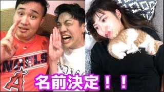 子猫の名前が決まった！フィッシャーズに加入(ガチ)
