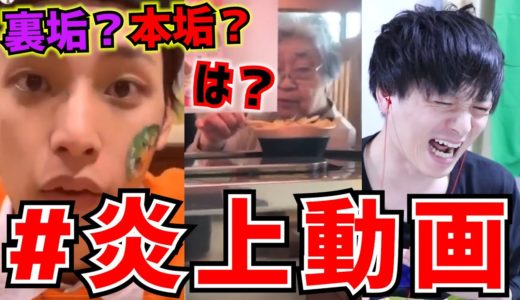 #炎上動画 リスナーから送られてきた動画を見てみたンゴ！