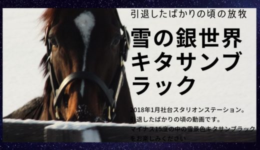 2018年1月【引退したばかりの頃のキタサンブラック】