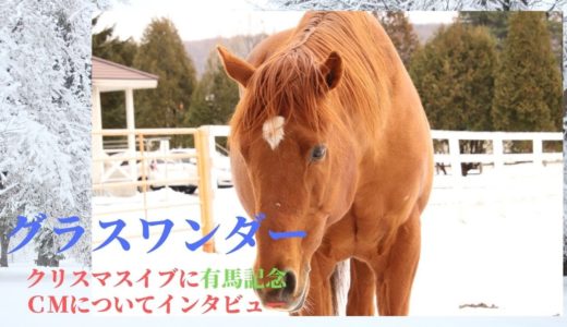 2018年12月24日【グラスワンダー】クリスマスイブにオルフェとのｖｓ夢の対決有馬記念編についてインタビュー