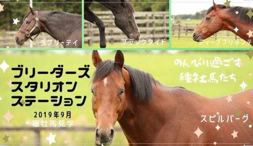2019年9月【ブリーダーズスタリオンステーション】ラブリーデイ、ヴィクトワールピサ、ゼンノロブロイ、ベルシャザール、ストロングリターン、ダノンシャーク、リオンディーズなどが登場します。