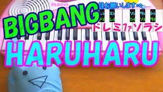 １本指ピアノ【HARUHARU】BIGBANG  簡単ドレミ表示 (超初心者向け)