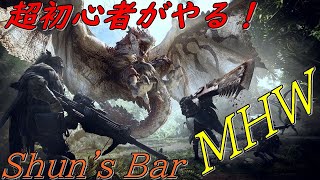 【PC版】あの重ね着がほしい！　Monster Hunter World＃84　2019/12/21