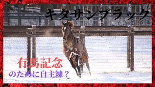 【雪景色とキタサンブラック】有馬記念のために自主練。安平町社台スタリオンステーション。