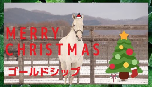 2018年12月24日【ゴールドシップ】クリスマスイブにビッグレッドファームに行きました