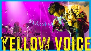 【MV】Yellow Voice/ラトゥラトゥ