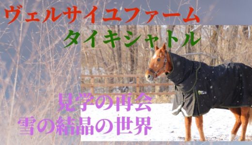 【タイキシャトルと雪の結晶の世界】