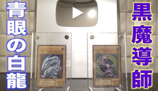【遊戯王】ブルーアイズとブラックマジシャンが家にやってきました。