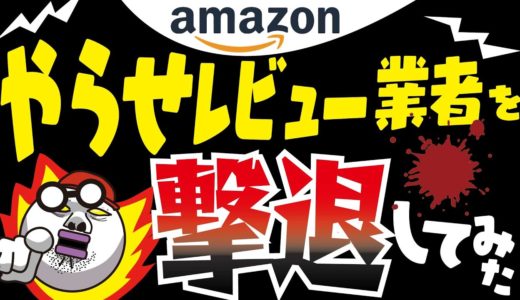 【アマゾンやらせレビュー】中国のやらせ業者をギッタギタに撃退してみた！（反撃編その１）