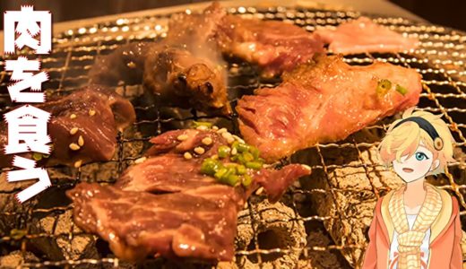 【飯テロ】Vtuberぼっち焼き肉をする【焼肉】