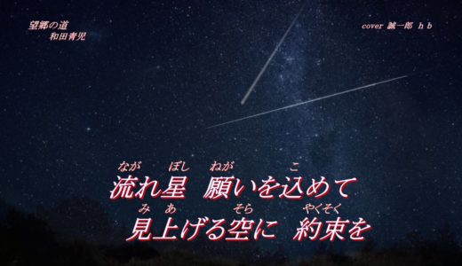 【新曲】望郷の道 /和田青児 /誠一郎 ｈｂが 唄ってみました。2020年2月5日