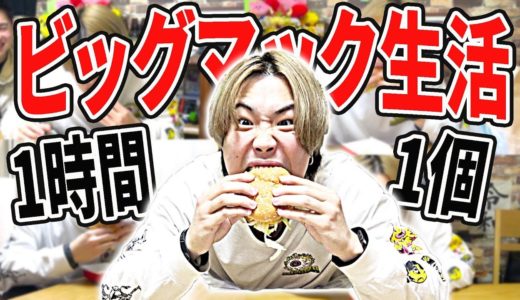 【大食い】ビッグマックを1時間に1回食べ続けたら地獄すぎた！！