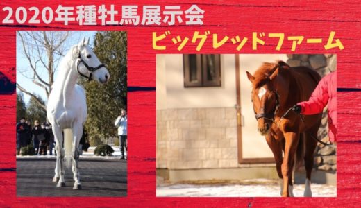 【ビッグレッドファーム展示会2020】ゴールドシップ　ジョーカプチーノ　グラスワンダー　アドマイヤマックス　アグネスデジタル　ロージズインメイ　ダノンシャンティ　ダノンバラード　が登場