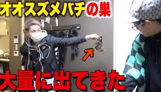 だから言ったんだよ！蜂出てきたらどうすんだよって。