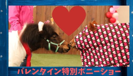 【バレンタイン特別ハッピーポニーショー2020】