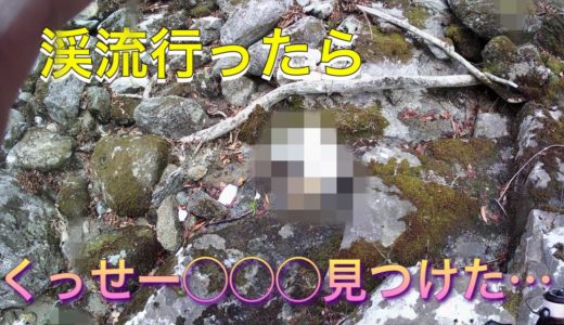 渓流初心者がちょっと増水した渓流行ったら…