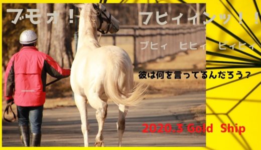 【2020年3月ゴールドシップ】鳴き声