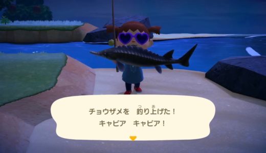 【どうぶつの森】音量に注意してご視聴くださいませ。【生放送】