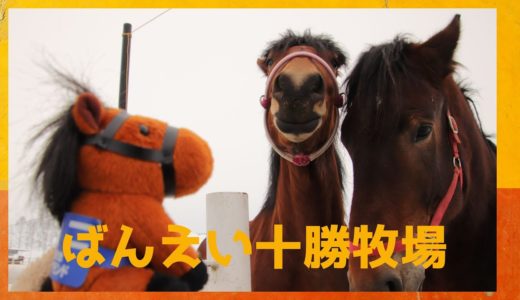 ばんえい牧場十勝