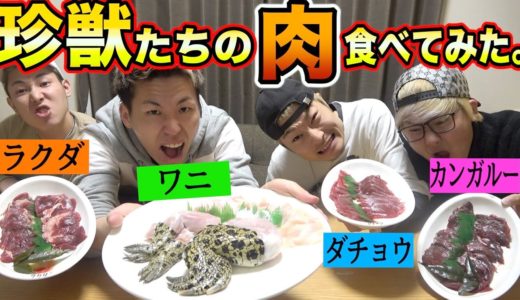 【珍獣】ワニ、ラクダ、カンガルー、ダチョウの肉食ってみた。【ゲテモノ】