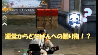 【荒野行動】狂い咲き心乱れる12キルドン勝【🤡どなぱん🐼】