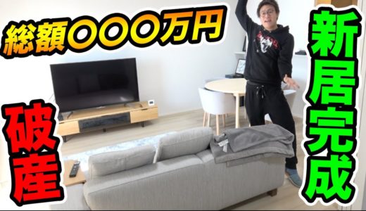 【総額〇〇〇万円】家具家電を買いまくって最強の家が完成しました！新居ルームツアー！！！！【1人暮らしニートの新居】