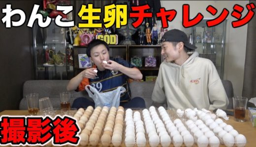 【閲覧注意】わんこ生卵チャレンジの撮影後大変なことになった