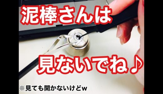 【悪用厳禁】ピッキングというカギ屋のカギ開け技術を実演！ディスクシリンダー編　LockSmith