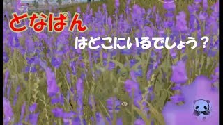 【荒野行動】足の音高らかに踊りける戦士たち。8キルドン勝【🤡どなぱん🐼】