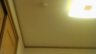 早くもお年玉＿第二弾  ローンチ 1/4 20時開催( ﾟДﾟ)