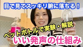 目で見てわかる！いい歌・呼吸・発声の仕組み！これを見れば簡単にスッキリ理屈がわかります。