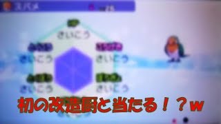 【ミラクル交換研究所】久々にやったらめちゃくちゃいい結果にｗｗ【ポケモンUSUM】