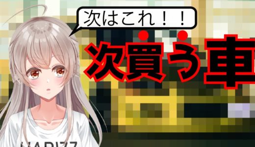 次買う車の話。【レーサーVtube】