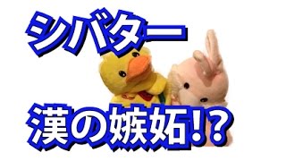 【嫉妬⁉】桐崎栄二復活 シバター漢の片想い！？