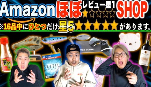 【16品中1品だけ星5】Amazonほぼ星1レビューSHOPで星5商品を当てろ!!が高難易度すぎた。
