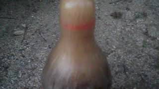 アナルフリスク マークII