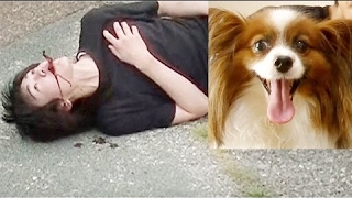 犬は飼い主が倒れた時、助けてくれるのか！？
