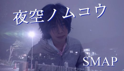 【ダークボイスが】SMAP｜”夜空ノムコウ”【カバー動画：奈由】