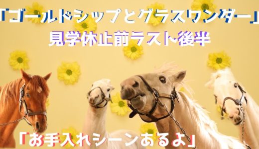 【ゴールドシップ＆グラスワンダー】見学休止になる前のラスト見学動画後半　ビッグレッドファーム　2020年4月9日