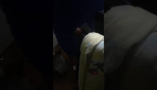 妹のパンツ